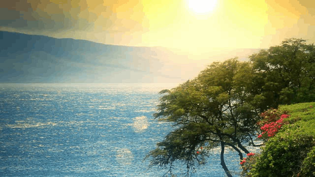 Adyashanti - The Foundational Meditation